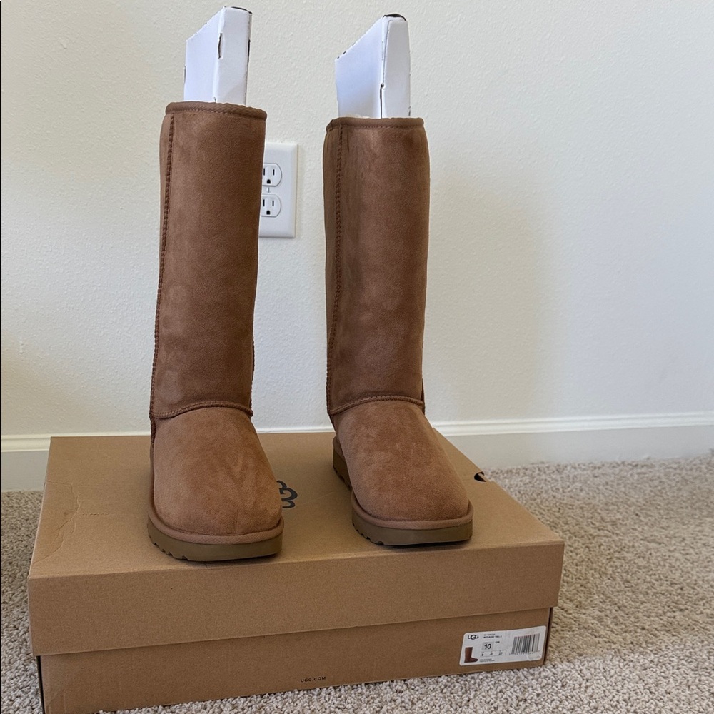 UGG Chestnut Suede Boots